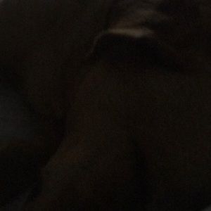 Meet your Posher, Tammi